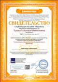 Свидетельство о публикации на сайте infourok.ru " Театрализованная деятельность в средней группе "(фотоотчёт) 18.06.2020.